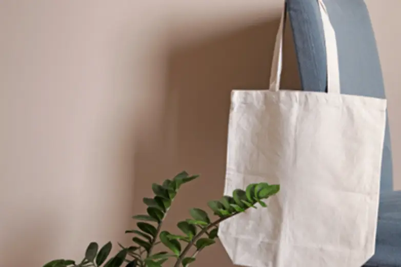 Tote Bag by Geoff McFetridge for Gabriella Charter School